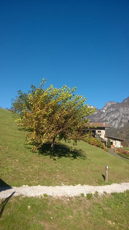 Agriturismo Serec Villa Angolo Terme Exteriör bild